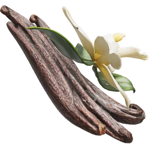 Baunilha bourbon